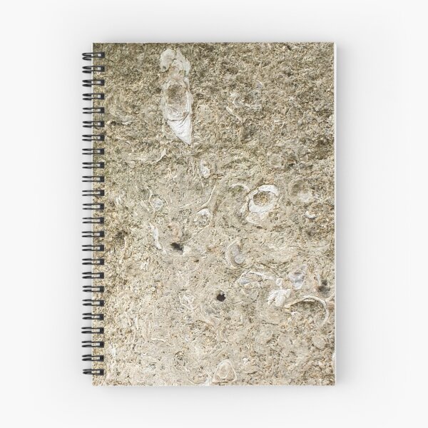 Item preview, Fossils  designed and sold by amanda150771.