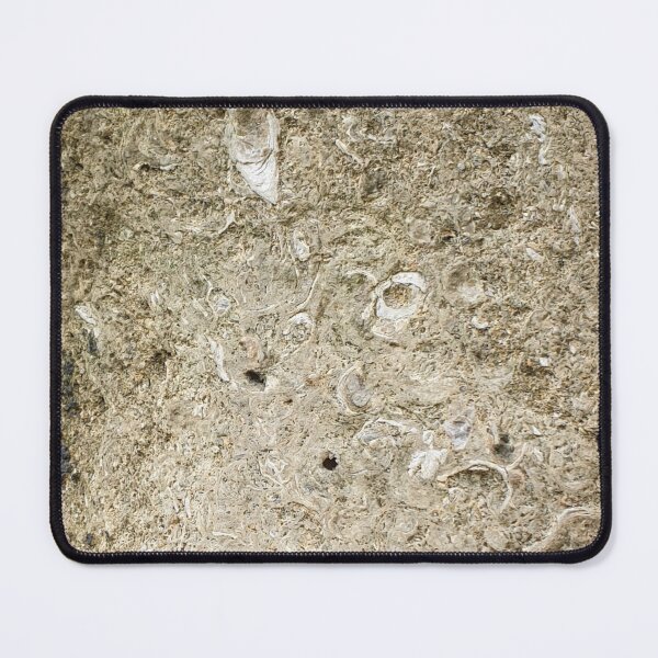 Item preview, Fossils  designed and sold by amanda150771.