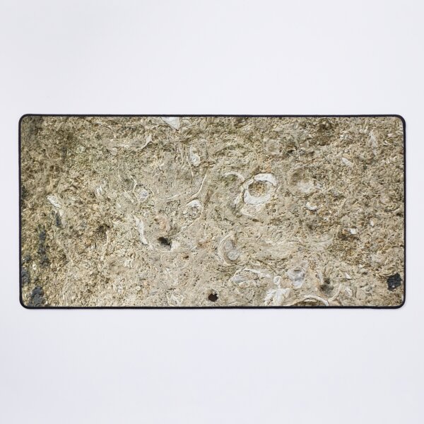 Item preview, Fossils designed and sold by amanda150771.