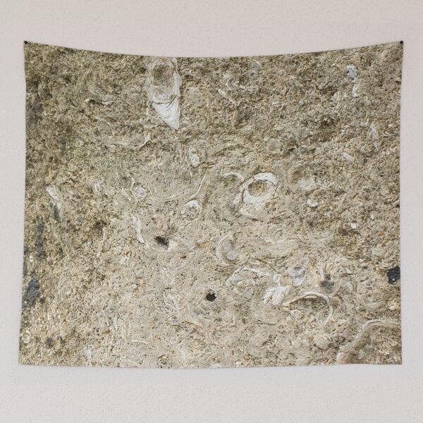 Item preview, Fossils  designed and sold by amanda150771.
