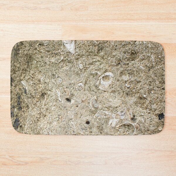 Item preview, Fossils  designed and sold by amanda150771.
