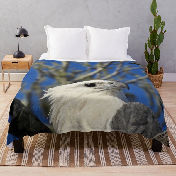 Item preview, White-bellied Sea-eagle face designed and sold by Mark Grimsley.