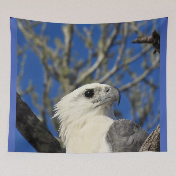Item preview, White-bellied Sea-eagle face designed and sold by Mark Grimsley.