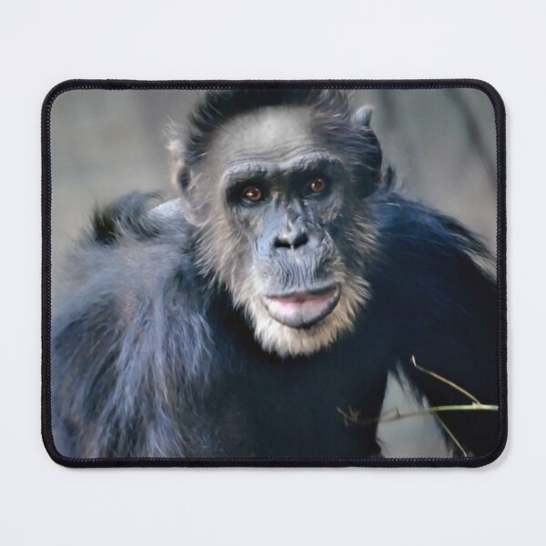 Item preview, Chimpance designed and sold by Savannah Gibbs.