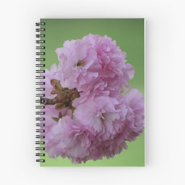 Item preview, Fully Bloomed designed and sold by Tonia Delozier's Photography .