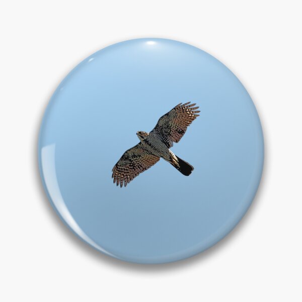 Item preview, Henst's Goshawk Flying Color Design  designed and sold by designsasstultd.