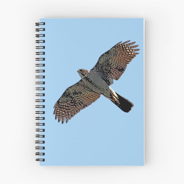 Item preview, Henst's Goshawk Flying Color Design  designed and sold by designsasstultd.