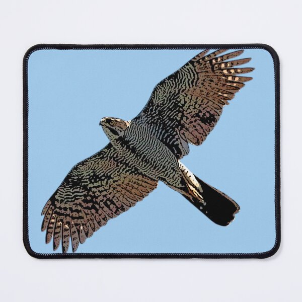 Item preview, Henst's Goshawk Flying Color Design  designed and sold by designsasstultd.
