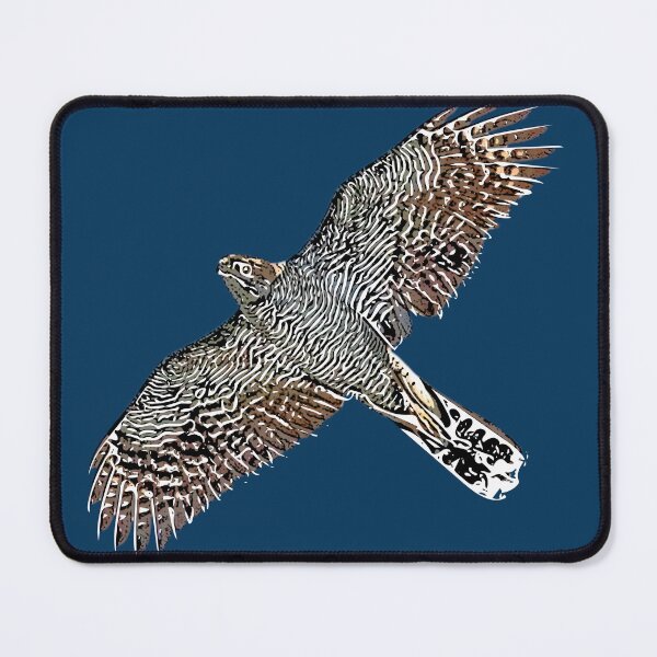 Item preview, Henst's Goshawk Flying White Alternate Design  designed and sold by designsasstultd.