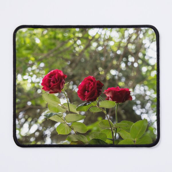 Item preview, Elegant Rose Trio for a Garden Delight designed and sold by Georgia Mizuleva.