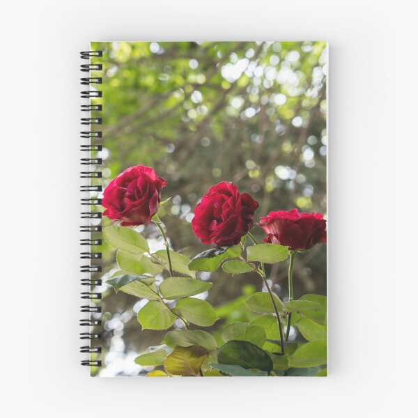 Item preview, Elegant Rose Trio for a Garden Delight designed and sold by Georgia Mizuleva.