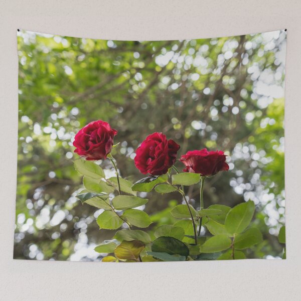 Item preview, Elegant Rose Trio for a Garden Delight designed and sold by Georgia Mizuleva.
