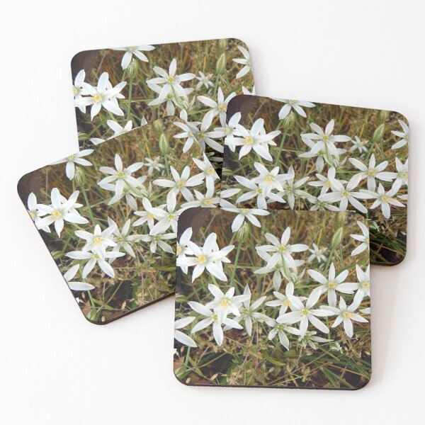 Item preview, Straight-Leaved Star of Bethlehem designed and sold by gistinker.