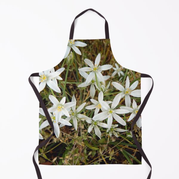 Item preview, Straight-Leaved Star of Bethlehem designed and sold by gistinker.
