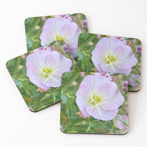 Item preview, Evening Primrose designed and sold by abramichellemorris.