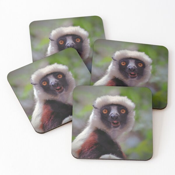 Item preview, Coquerel's Sifaka designed and sold by Savannah Gibbs.