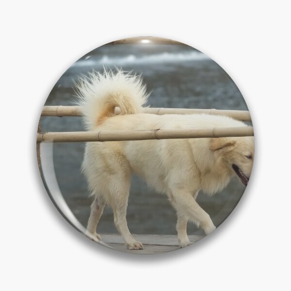 Item preview, Crossing the intrepid dog on the Vang Vieng bamboo suspension bridge designed and sold by franck380.