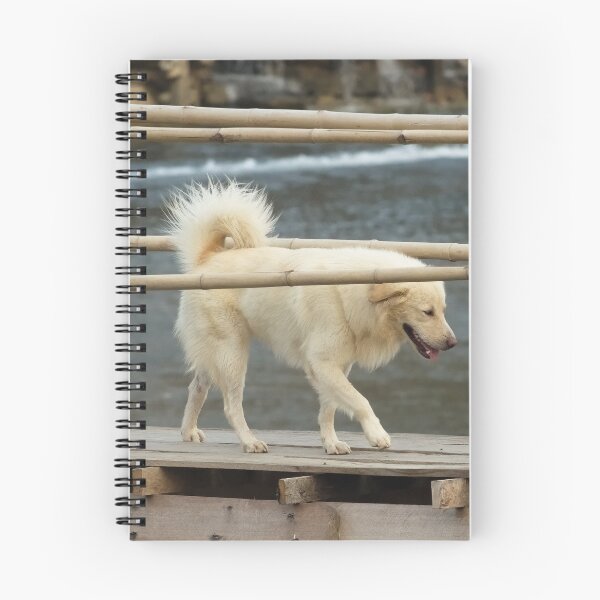 Item preview, Crossing the intrepid dog on the Vang Vieng bamboo suspension bridge designed and sold by franck380.