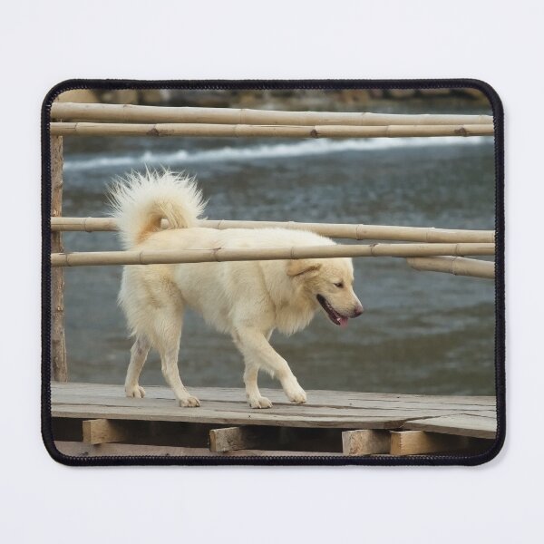 Item preview, Crossing the intrepid dog on the Vang Vieng bamboo suspension bridge designed and sold by franck380.