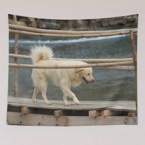 Item preview, Crossing the intrepid dog on the Vang Vieng bamboo suspension bridge designed and sold by franck380.