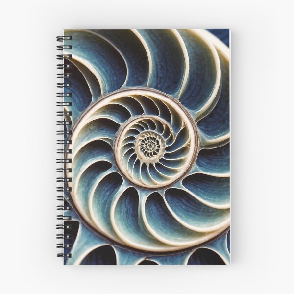 Item preview, Espiral inspirada en concha fractal azul designed and sold by leftylee.
