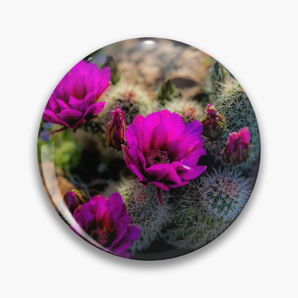 Item preview, Cactus Blooms designed and sold by TBBroadDesigns.