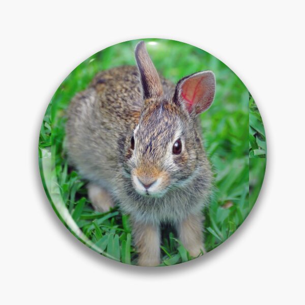 Item preview, Rabbit designed and sold by Savannah Gibbs.