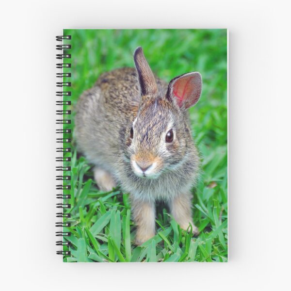Item preview, Rabbit designed and sold by Savannah Gibbs.