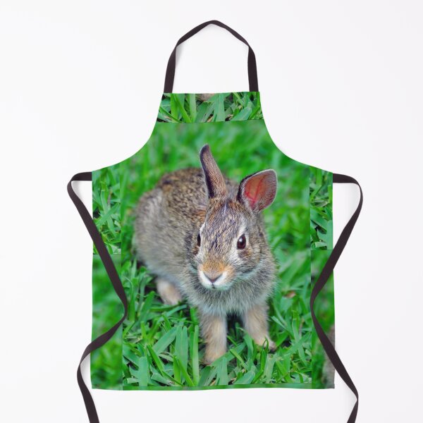 Item preview, Rabbit designed and sold by Savannah Gibbs.