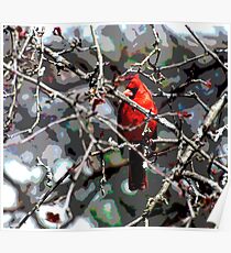 Cardinal in Spring Poster