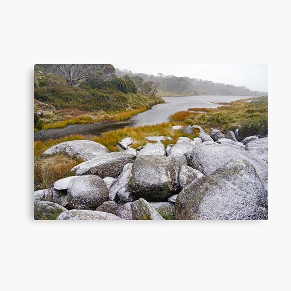 Winter Morning Canvas Print