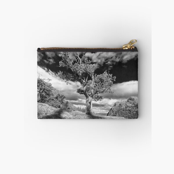 Item preview, Lone Tree RMNP designed and sold by johnny gomez.