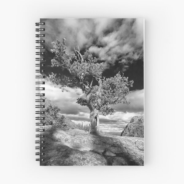 Item preview, Lone Tree RMNP designed and sold by johnny gomez.