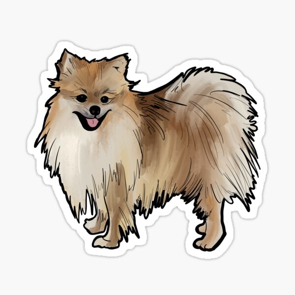 Pomeranian Dog Sticker