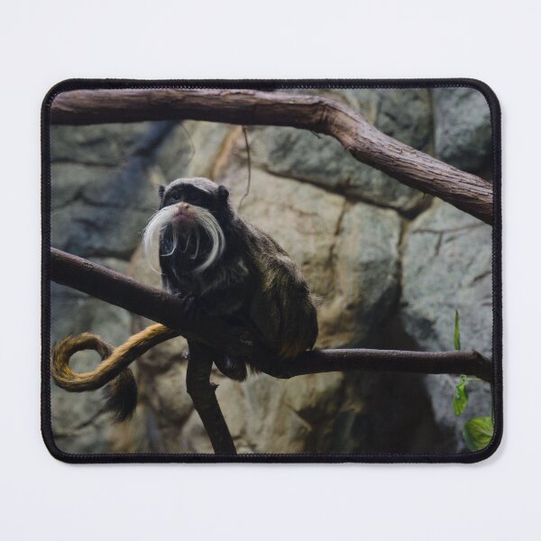 Item preview, Emperor tamarin (Saguinus imperator) designed and sold by Matsumoto.