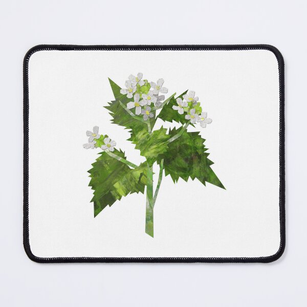 Item preview, Garlic Mustard / Jack-in-the-hedge designed and sold by BabbanGaelg.