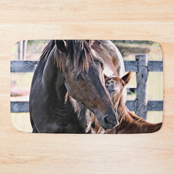 Item preview, THOROUGHBRED MARE AND FOAL, PHOTOGRAPHY BY BARB JEAN designed and sold by Barbara Jean Photo Art And Design.