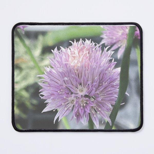 Item preview, Chives designed and sold by abramichellemorris.
