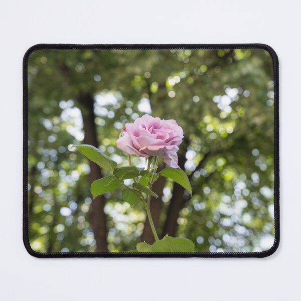 Item preview, Pale Purple Fragrance - an Exquisite Fancy Colored Rose Bloom designed and sold by Georgia Mizuleva.