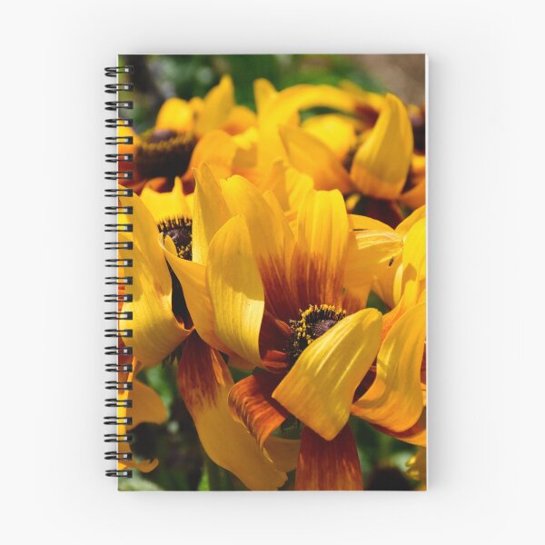 Item preview, Windblown Coneflowers designed and sold by MercerImages.
