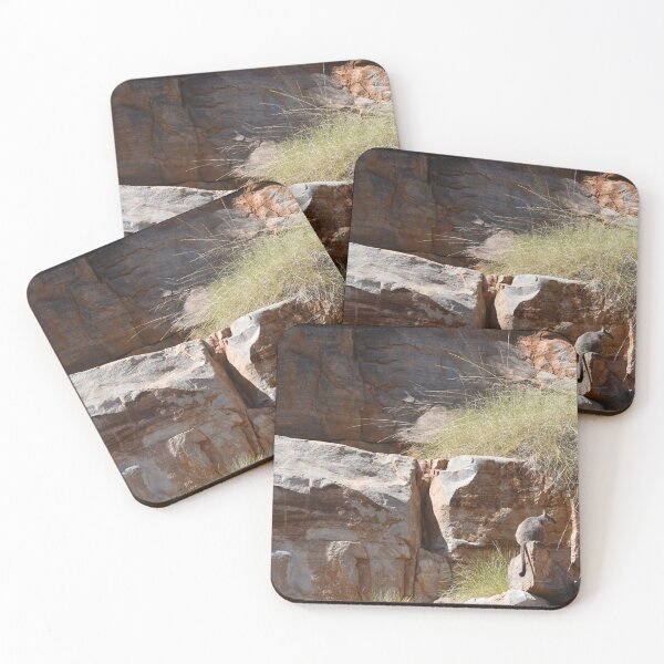 Item preview, Two rock wallabies on a sandstone shelf. designed and sold by EAnneH.