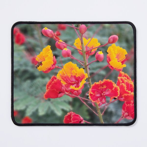 Item preview, Smell the Flowers designed and sold by Cecetyshay.