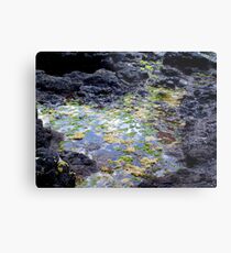 rockpool Metal Print