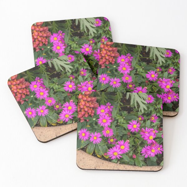 Item preview, Osteospermum designed and sold by yunee.