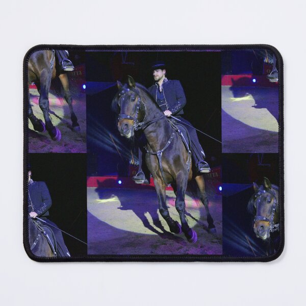 Item preview, vr 3673 / finition 2024 -  11 " le Merveilleux Cirque Claudio Zavatta et ses Chevaux " Okaio-Umin Créations Olavia-Olao designed and sold by o.okaïo.
