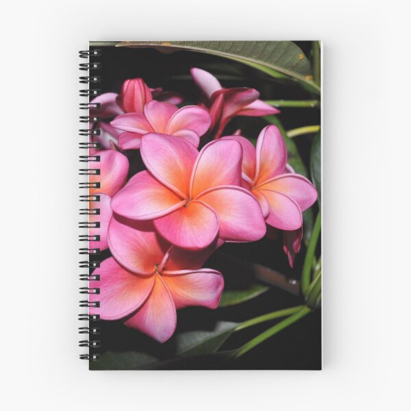 Item preview, Pink Plumaria, Kailua Kona at Dusk (Unedited) designed and sold by PixDezines.