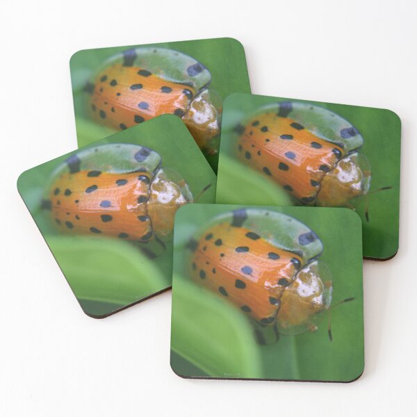 Item preview, Spotted Tortoise Beetle designed and sold by RanranBugs.