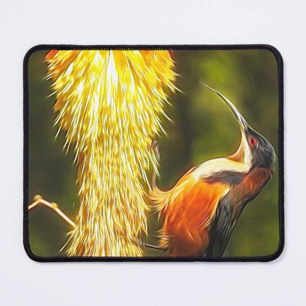 Item preview, Eastern Spinebill and Kniphofia Autumn image designed and sold by Kathie Thomas.