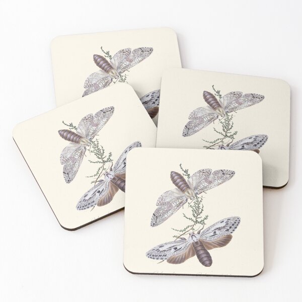 Item preview, Scientific Vintage Illustration, Α pair of butterflies  designed and sold by Lacasadellora.