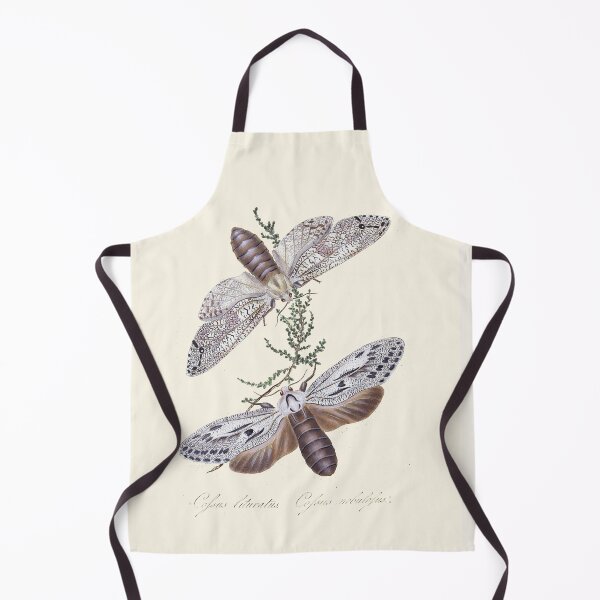 Item preview, Scientific Vintage Illustration, Α pair of butterflies designed and sold by Lacasadellora.